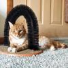 Cat Arch Self Groomer with Scratch Pad and Toy