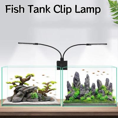 Fische & Meerestiere – Aquarienbeleuchtung