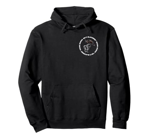 SR-71 Blackbird-Skunk Works T-shirt Hoodie