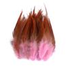 50/100pcs Natural Pheasant Chicken Feathers 10-15cm Colored Cock Plume for Handicrafts and Needlework Dream Catcher Accessories