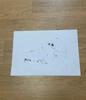 EXO Sehun's autograph