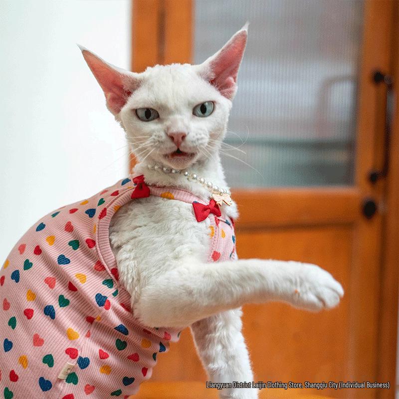 Deutsches grenzüberschreitendes haarloses Sphynx-Katzen-Westchen mit Schleife - Träger-Bauchschutz für Haustiere
