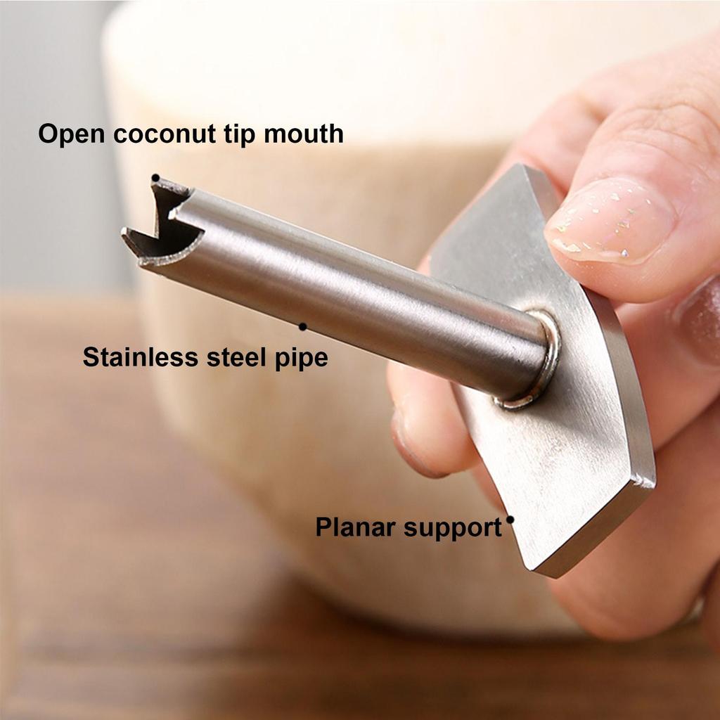 Coconut Opener Tool Kitchen Punch Tool Coconut Hole Puncher Coconut Punch Tool Stainless Steel Coconut Tool Coconut Opener Tools