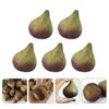 TOYMYTOY Set of Simulation Fig Fruit Lightweight and Compact Display Figurines for Home and Store Decor 5-Piece Models,