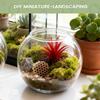Small Fish Bowl Space-Saving Aquarium Accessories Aquarium Fish Bowl For Table Centerpiece Party Decorations Home Event Indoor