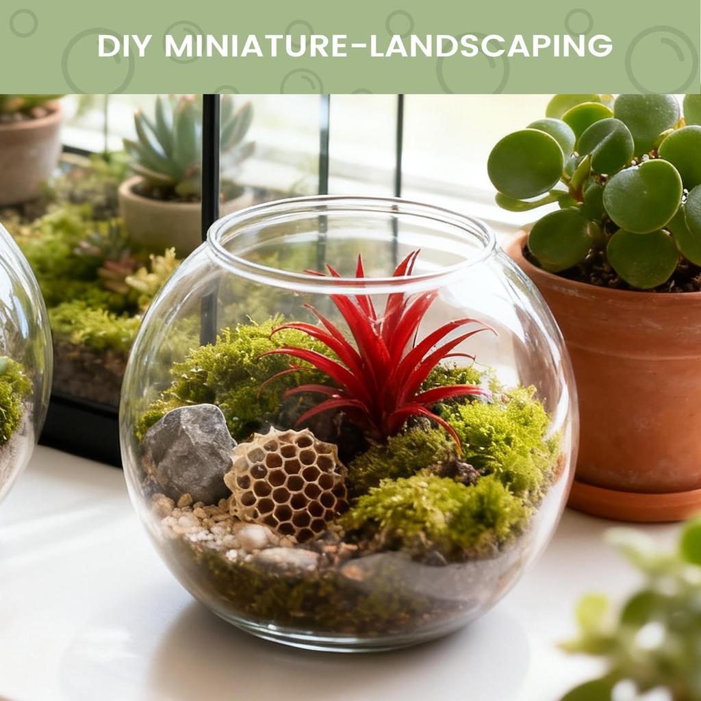 Small Fish Bowl Space-Saving Aquarium Accessories Aquarium Fish Bowl For Table Centerpiece Party Decorations Home Event Indoor