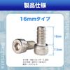 Reverse Thread Bolt M8 16mm P1.25 with Hexagon Socket Stainless