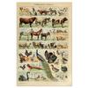 Vintage-Leinwandgemälde mit Gemüse, Früchten, Pilzen, antike Wandkunst, botanische Bilder, wissenschaftliche Poster und Drucke, Heimdekoration