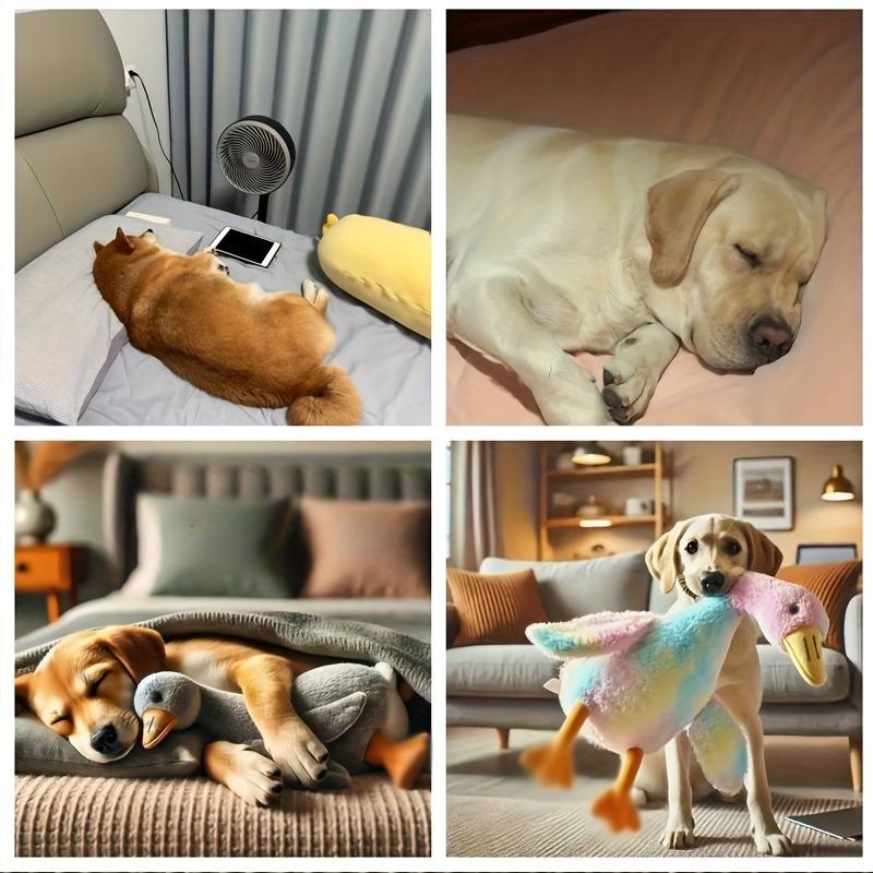 50cm Měkká barevná kachnička plyšová hračka pro kočky psy relaxační společník pro mazlíčky úleva od úzkosti psí kamarád uvolnění energie dárek pro mazlíčky