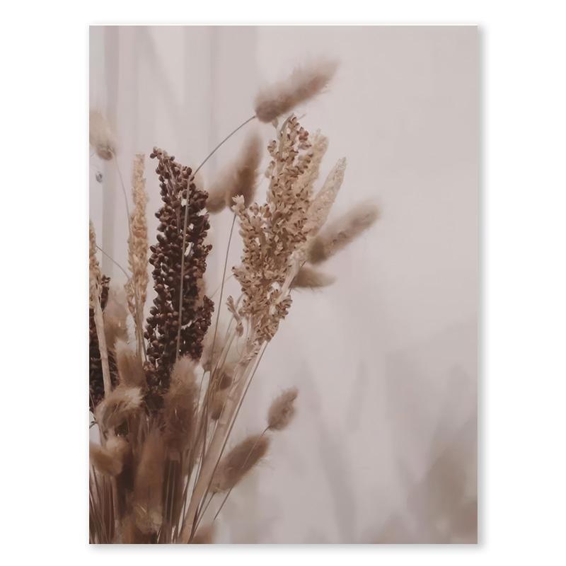 

Скандинавский осенний пейзажный плакат Картина на холсте с камышом и маргаритками Пасторальная эстетика Печать Изображение Гостиная Домашнее украшение 50x70cm No Framed