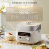 Mini 2.5L Electric Pressure Cooker,Automatic and Multi-functional Cooker for Household Use,Fast Cooking,Easy Operation