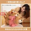 Miaomyao Plush Miniature Dachshund Fluffy and Soothing Toy for 42cm Toy, Dog, Kids, (Brown)