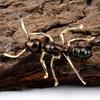Fashion Unisex Ant Alloy Brooch Pin Badge Suit Lapel Jacket Clothes Accessory