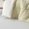 Aimeijia Anhudun Cloud-Feel Antibacterial All-Season Duvet