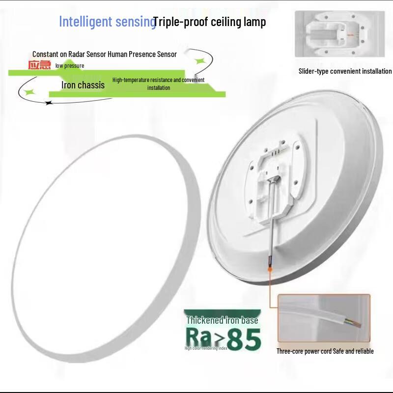 OEING Smart Bedroom Ceiling Light