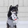 Peanuts PEANUTS Snoopy knit toy with sounds for dogs