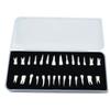 28 Pieces Dental Demonstration Permanent Teeth Model 1 To 1 Full Set for Implant Practice Teaching and Study