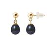 Earrings - - Comet - Cultured Freshwater Pearls 6-7 Mm - Yellow Gold - Woman