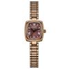 Light Luxury Gold Women's Waterproof Quartz Watch - High-Value, Fashionable Small Square Design