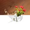 Cute Hydroponics Plant Flowerpot DIY Transparent Glass Vase Cartoon Whale Glass Vase  Home Decor