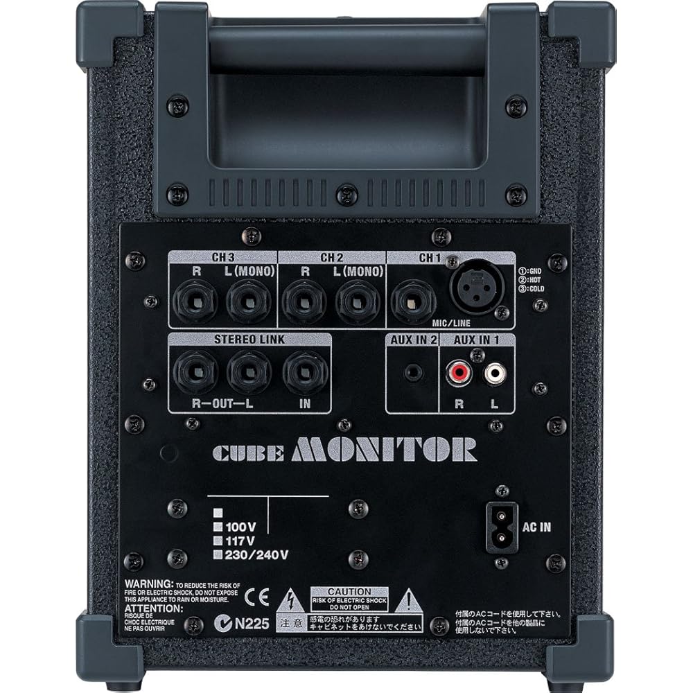 Roland Cube Monitor 30W CM-30