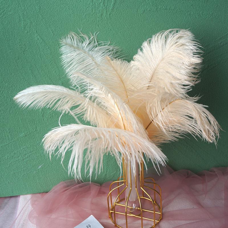 Color 20-25Cm Ostrich Hair Vase Ornament Wall Feather Decoration Hand Bouquet Flower Arrangement Diy Material
