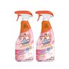 Bathroom Cleaner