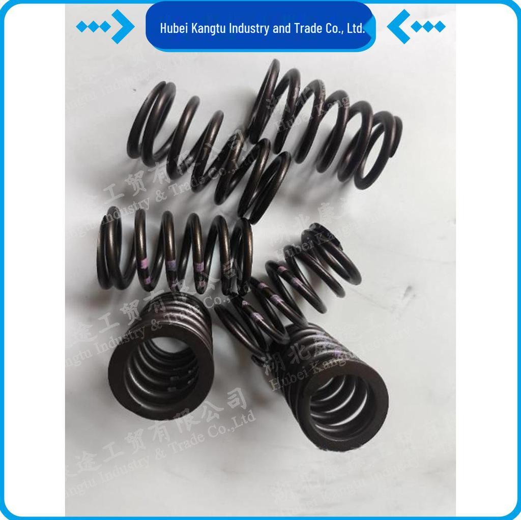 Cummins Z14 Valve Spring C5591415