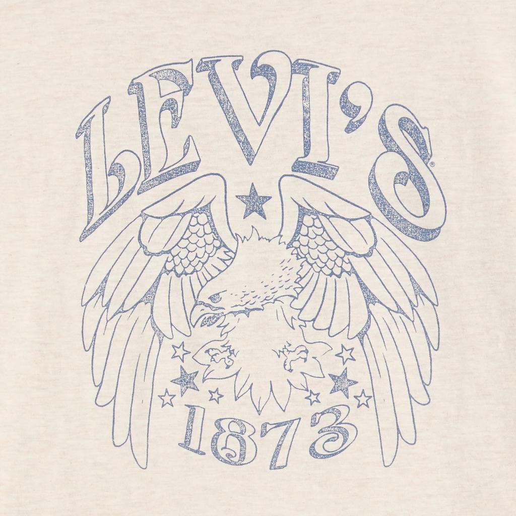 Levi's Graphic Boxy T-Shirt Short Sleeve Women's A8804-0050 US XS