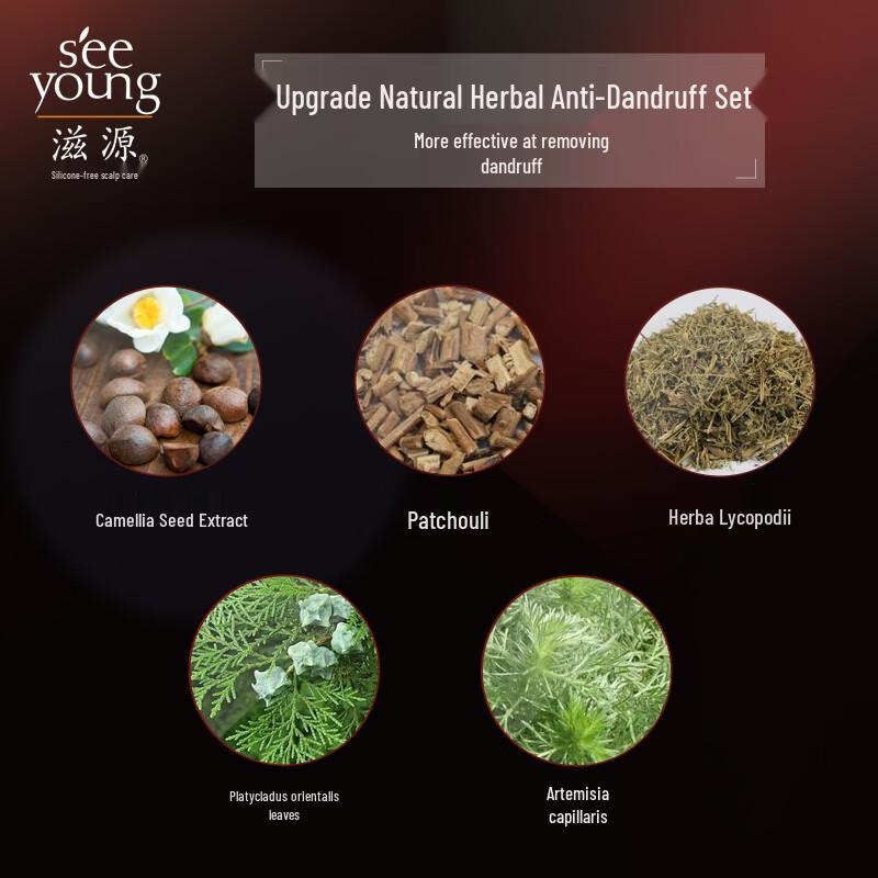 Ziyuan Amino Acid Camellia Seed Anti-Dandruff Shampoo