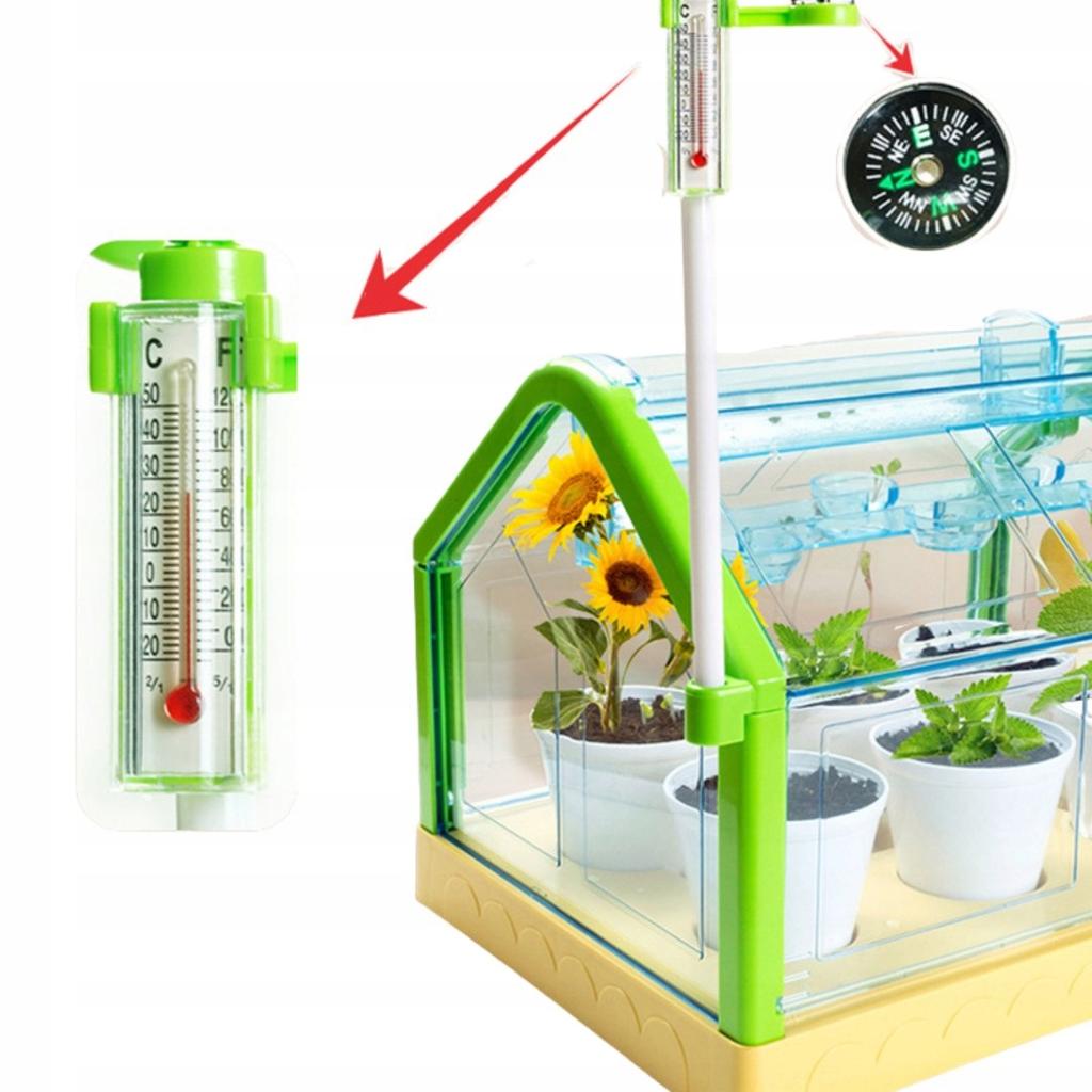 Kit Educativo Serra Sperimentale Mini Giardino Fiori Veri da Coltivare