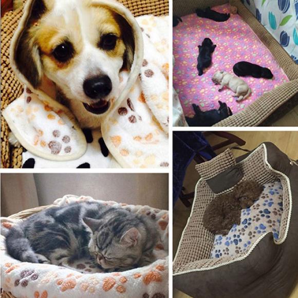 Warm Pet Cat Dog Puppy Paw Bone Printed Soft Fleece Blanket