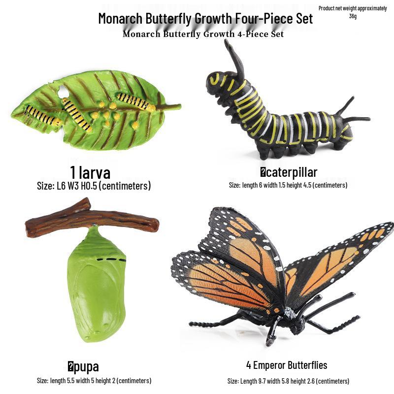 Pediatric Learning Model: Plastic Animal Growth Cycles - Frog, Butterfly, Rooster, Sea Turtle, Chinese Horseshoe Crab