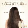 Hair Recipe Wanomi Urutsuya Treatment Refill 300g For Dry and Dry Hair
