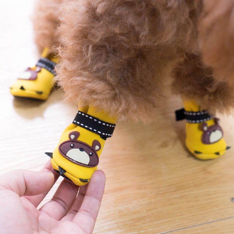 tiny dog shoes