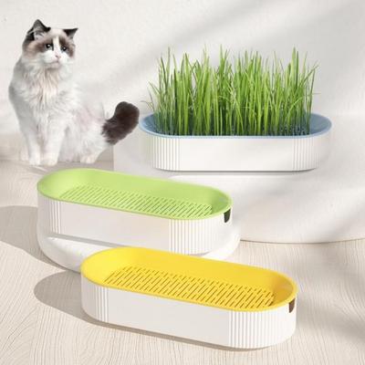 Cat Treats Hydroponic Soilless Planting Catnip Cat Grass Pot Set Hydroponic Cat Grass Box