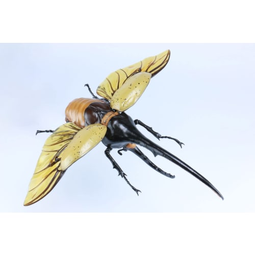 Free Research Series No.26 Living Creatures Edition Hercules Beetle Plastic Model