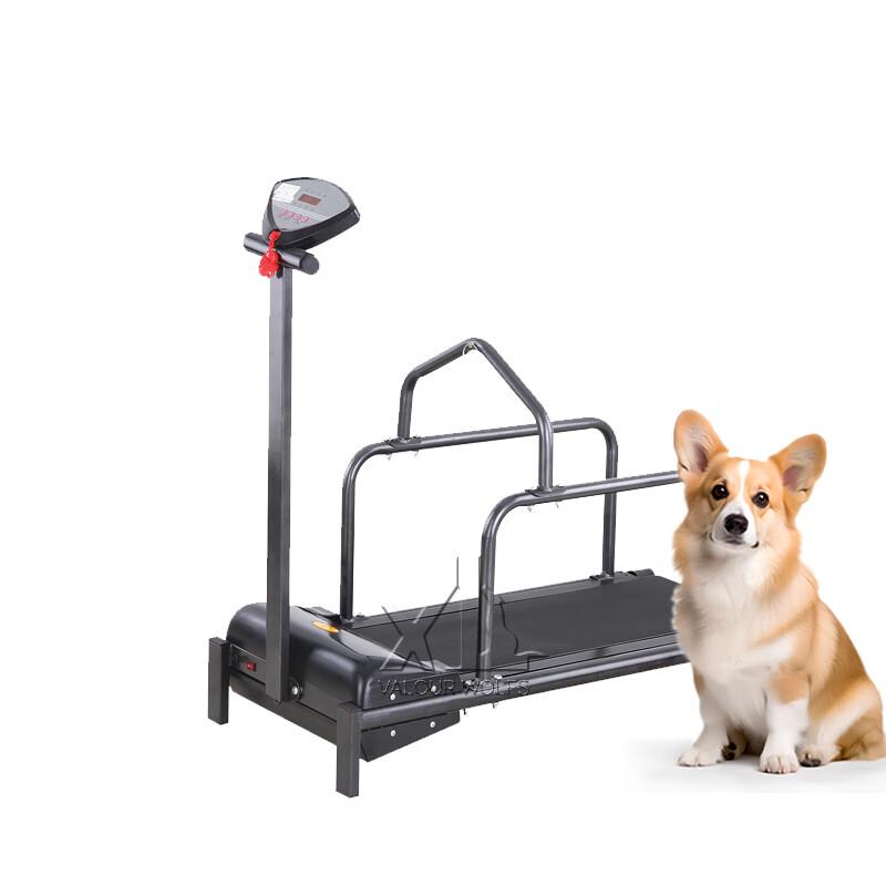 Xiaobing Dog Training Treadmill C100