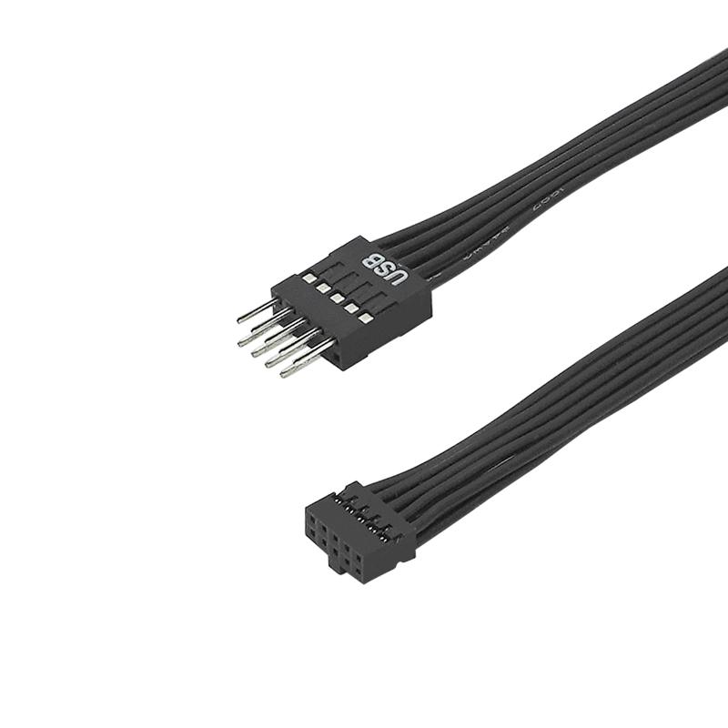 Dupont Mini USB 2.0mm 10Pin Female To Dupont USB 2.54mm 9Pin Male Power Extension Cable for PC Motherboard 12cm