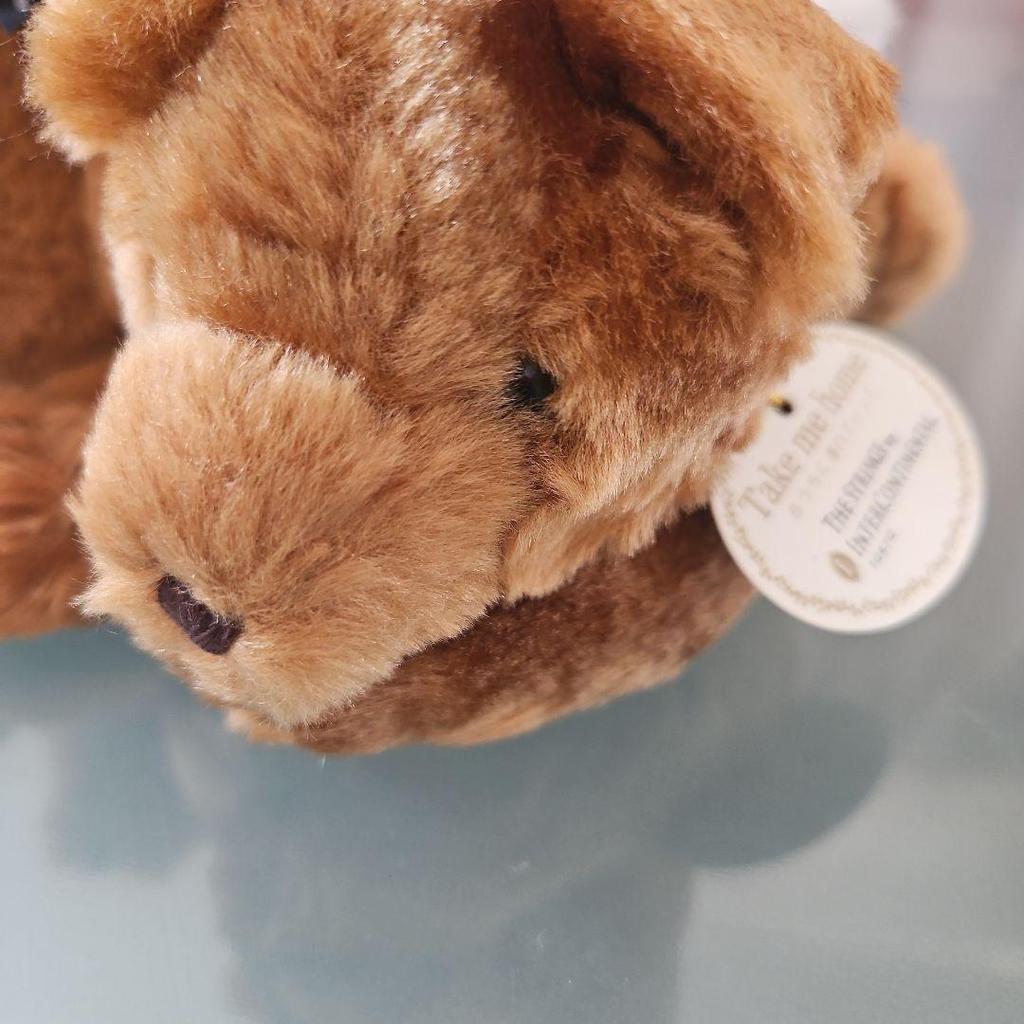 [USED] Teddy Bear - The Strings Hotel Tokyo InterContinental Hotel Commemorative Merchandise