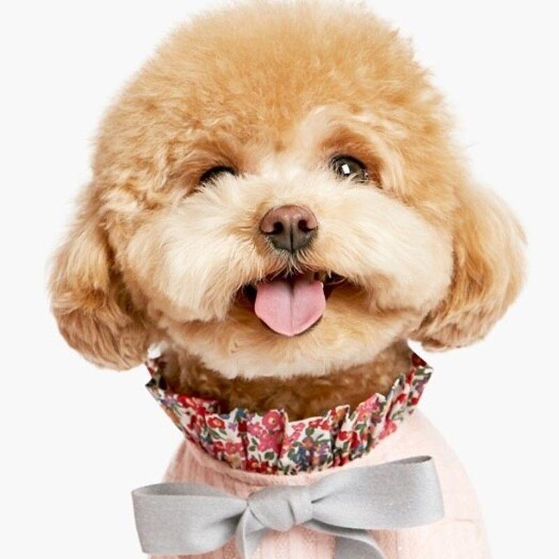 PET AROUND Floral T-Shirt Pink