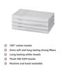 100% Cotton 4 Piece Hand Towel Set, 500 GSM (White)