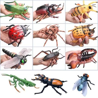 Realistic Insect Animal Model Ant Spider Scorpion Beetle Dragonfly Simulation Figures Insect Garden Home Desktop Decoration