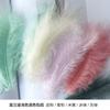 Feather decoration Color turkey Tip tail Fleece Dream catcher Material Bobo ball Gift box Filler Shooting prop