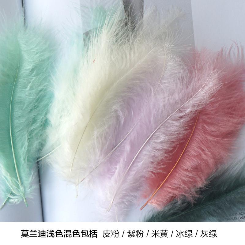 Feather decoration Color turkey Tip tail Fleece Dream catcher Material Bobo ball Gift box Filler Shooting prop