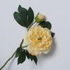 Artificial Peony with Green Leaves 2 Head Realistic Fake Silk Flower