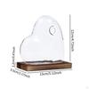 Heart Shaped Glass Vase with Wooden Base Modern Transparent Plant Terrarium Propagation Station for