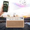 10W Guitar Amplifier Portable Practice Guitar Amp Small Electric Amplifier with Volumes Control Speaker Effect Parts