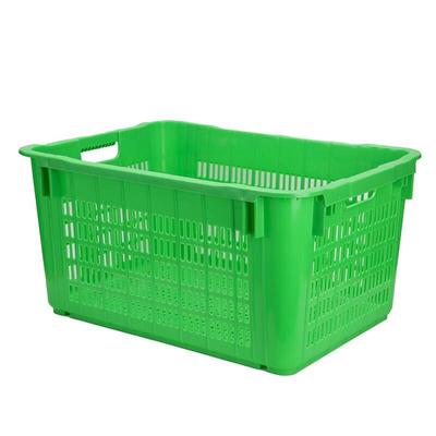 Cesto de Armazenamento de Plástico Molona