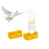 Bird Feeder Water Bottle Drinking Cups Large Capacity Automatic Water Dispenser for Quails Chicken Parrot Pigeons New